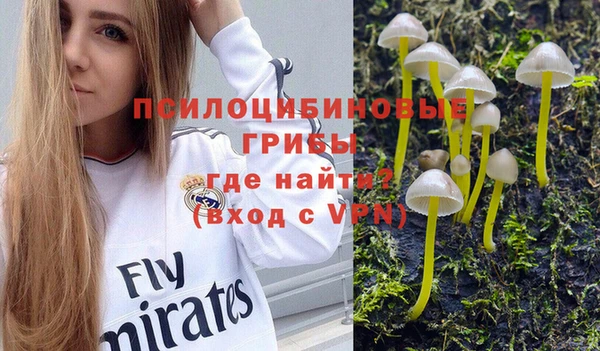 бутират Алексин