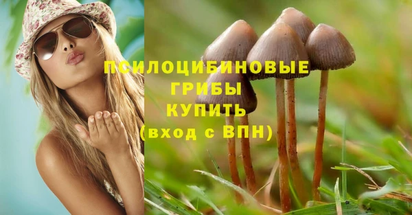 прущий лед Магас