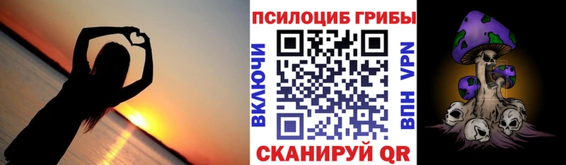 Псилоцибиновые грибы GOLDEN TEACHER  Красногорск 